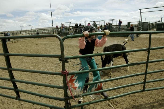 Mini Bull Riding